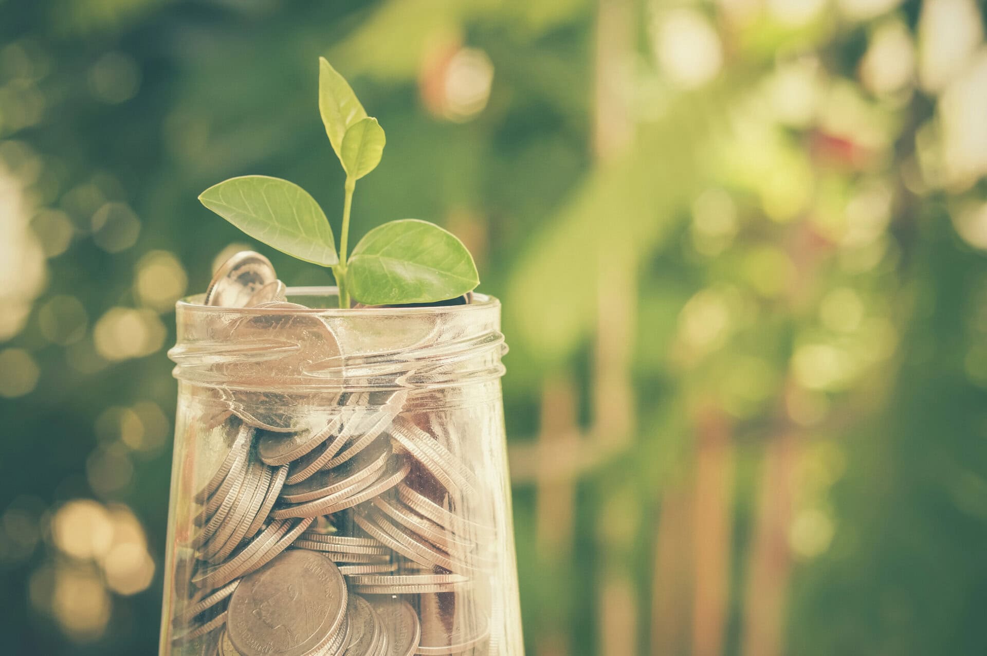 Plant growing out of coins with filter effect retro vintage style